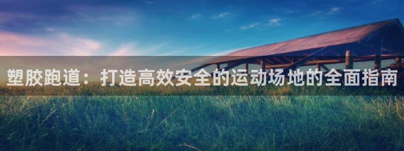 尊龙凯时vip：塑胶跑道：打造高效安全的运动场地的全面指南
