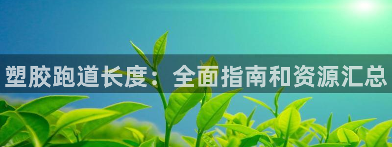 尊龙凯时请求参数不符合：塑胶跑道长度：全面指南和资源汇总