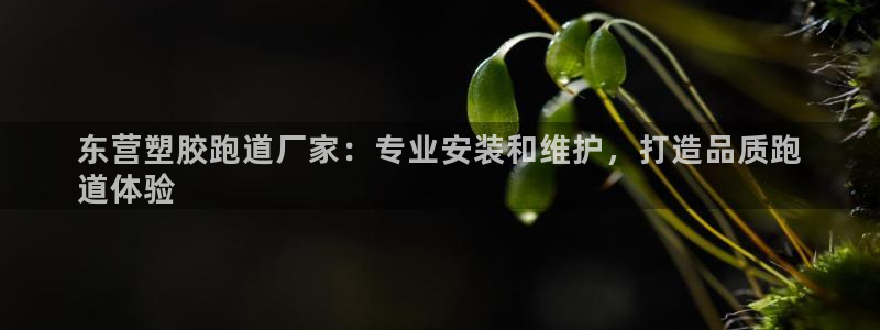 尊龙凯时几百万怎么下款：东营塑胶跑道厂家：专业安装和维护，打造品质跑
道体验