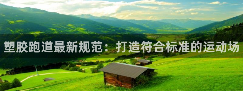 尊龙凯时平台正规吗：塑胶跑道最新规范：打造符合标准的运动场