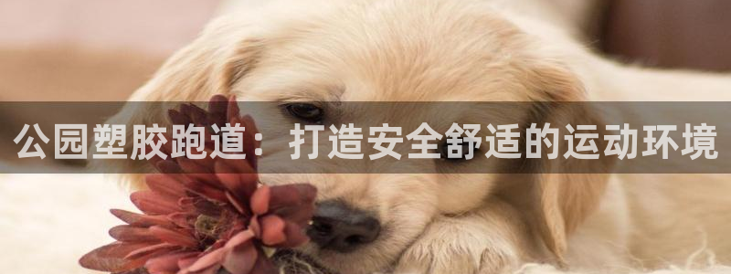 尊龙ag：公园塑胶跑道：打造安全舒适的运动环境