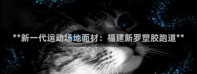 尊龙公司：**新一代运动场地面材：福建新罗塑胶跑道**