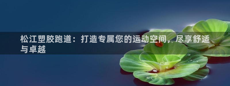 d88尊龙手机登录下载：松江塑胶跑道：打造专属您的运动空间，尽享舒适
与卓越
