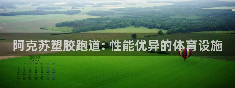 尊龙游戏官方网：阿克苏塑胶跑道: 性能优异的体育设施
