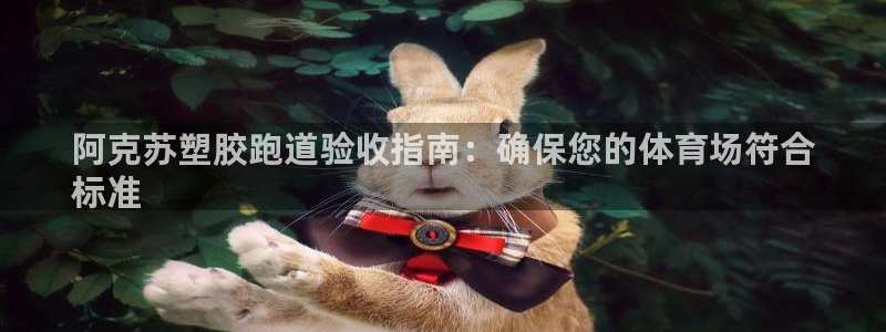 尊龙凯时官网：阿克苏塑胶跑道验收指南：确保您的体育场符合
标准