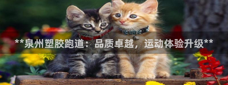 尊龙凯时平台官网：**泉州塑胶跑道：品质卓越，运动体验升级**