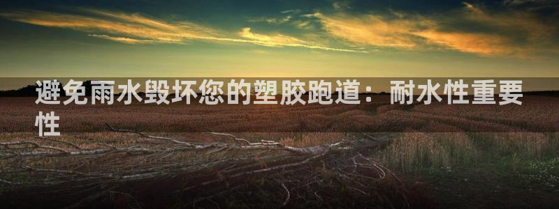 尊龙新版app首页：避免雨水毁坏您的塑胶跑道：耐水性重要
性