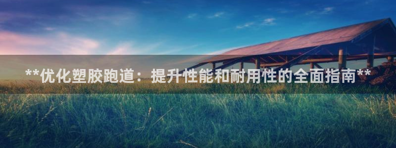 香港尊龙：**优化塑胶跑道：提升性能和耐用性的全面指南**