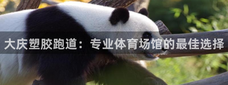 z6com尊龙：大庆塑胶跑道：专业体育场馆的最佳选择