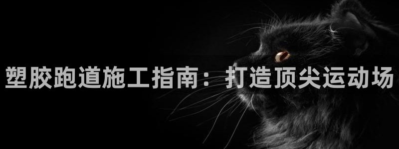 尊龙新版app首页