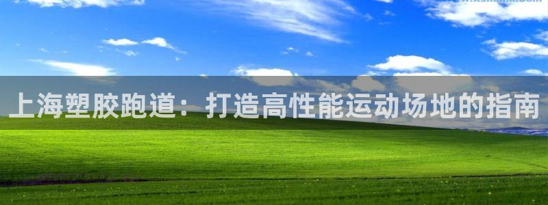 尊龙凯时旗舰厅百家乐下载：上海塑胶跑道：打造高性能运动场地的指南