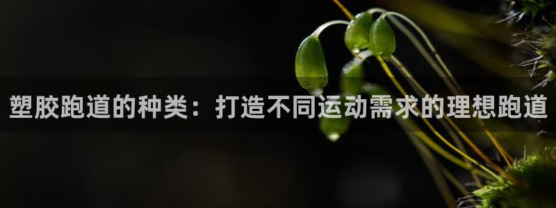 尊龙凯时平台正规吗：塑胶跑道的种类：打造不同运动需求的理想跑道