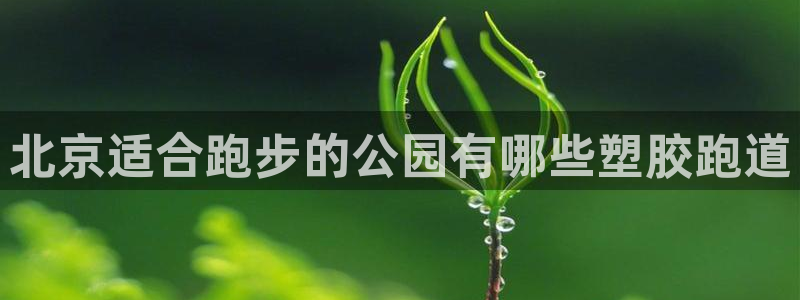 尊龙d88官网选RA来就送38：北京适合跑步的公园有哪些塑胶跑道
