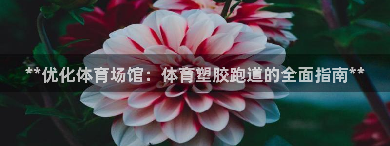 尊龙人生就是博旗舰厅：**优化体育场馆：体育塑胶跑道的全面指南**