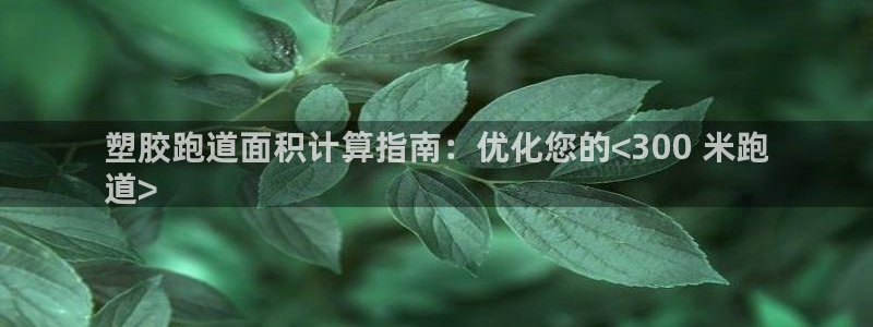 尊龙人生就是博：塑胶跑道面积计算指南：优化您的<300 米跑
道>
