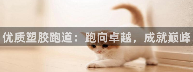 凯时效果怎么样：优质塑胶跑道：跑向卓越，成就巅峰