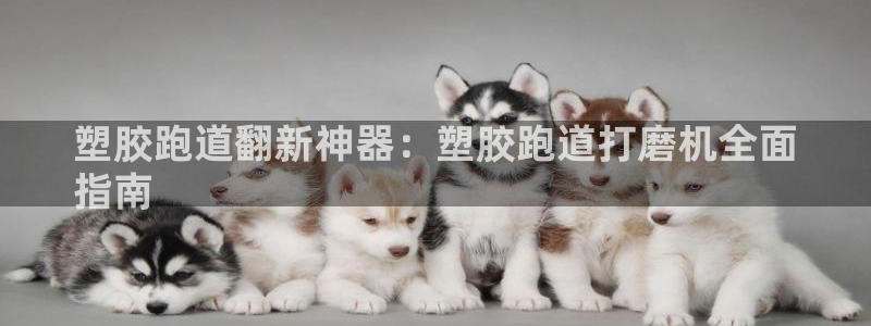 尊龙凯时网站怎么样：塑胶跑道翻新神器：塑胶跑道打磨机