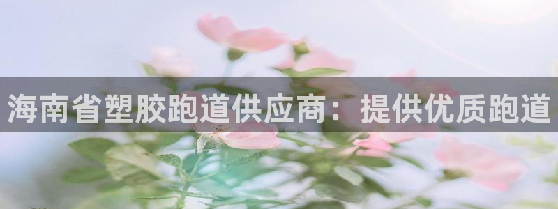 尊龙凯时提不了款：海南省塑胶跑道供应商：提供优质跑道