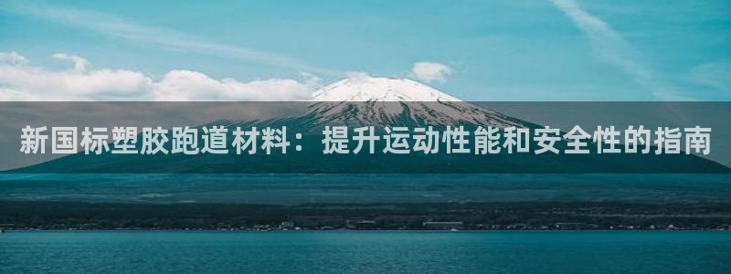 尊龙凯时人生就是搏z6com：新国标塑胶跑道材料：提升运动性能和安全性的指南