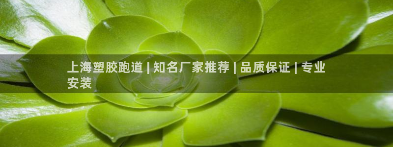 尊龙凯时品牌介绍：上海塑胶跑道 | 知名厂家推荐 |