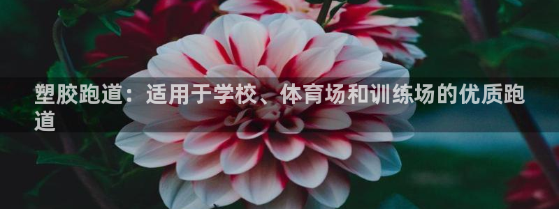 尊龙凯时ag旗舰厅登陆：塑胶跑道：适用于学校、体育场和训练场的优质跑
道
