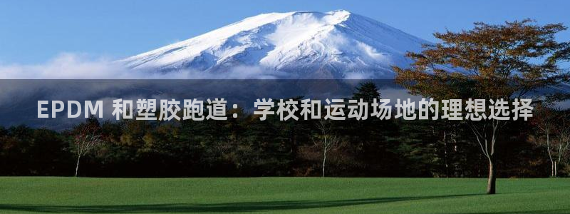 尊龙凯时ag旗舰厅官：EPDM 和塑胶跑道：学校和运动场地的理想选择