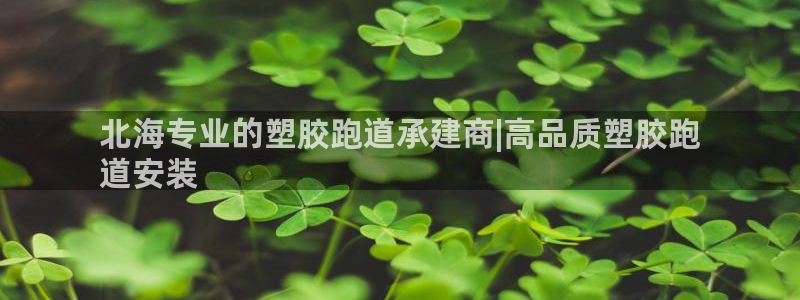 尊龙人生就是博网站：北海专业的塑胶跑道承建商|高品质