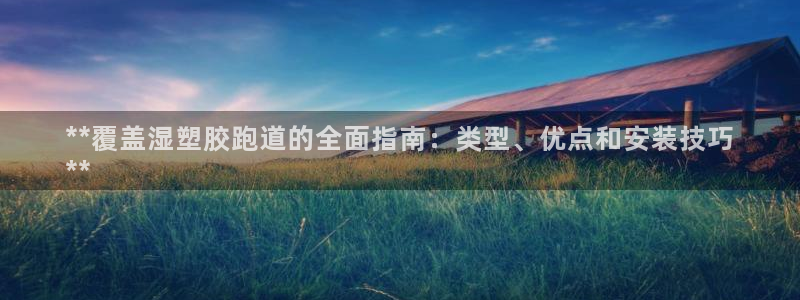 尊龙凯时取钱很慢：**覆盖湿塑胶跑道的全面指南：类型、优点和安装技巧
**