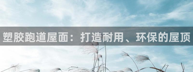 尊龙专访视频：塑胶跑道屋面：打造耐用、环保的屋顶