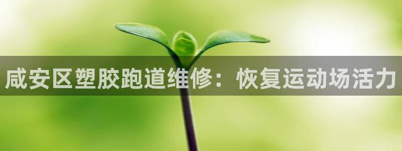 尊龙登录地址：咸安区塑胶跑道维修：恢复运动场活力