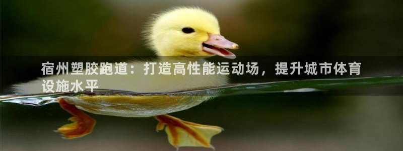 凯时app赢AG发财网来就送38：宿州塑胶跑道：打造