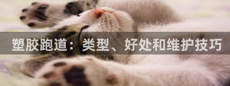 尊龙体育正规么： 塑胶跑道：类型、好处和维护技巧
