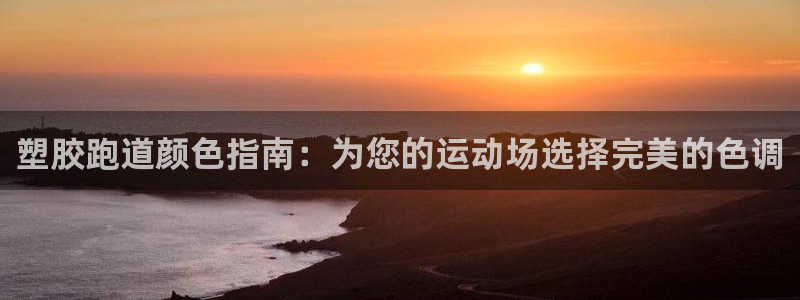 尊龙凯时网站登录：塑胶跑道颜色指南：为您的运动场选择完美的色调