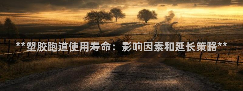 凯时国际最新：**塑胶跑道使用寿命：影响因素和延长策略**