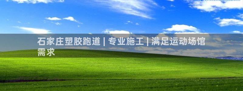 尊龙t300和t400哪个好：石家庄塑胶跑道 | 专业施工 