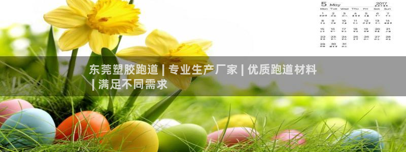尊龙官网首页：东莞塑胶跑道 | 专业生产厂家 | 优质跑道材