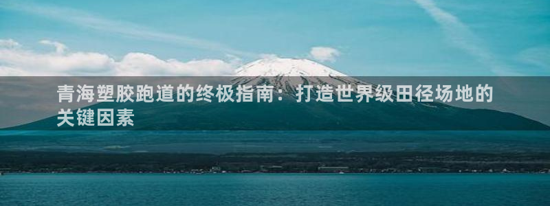 AG尊龙登陆网址：青海塑胶跑道的终极指南：打造世界级田径场地