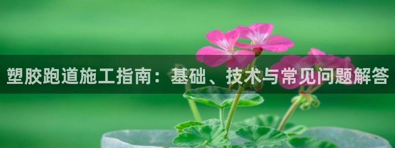 尊龙凯时取钱很慢