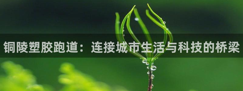 尊龙凯时网