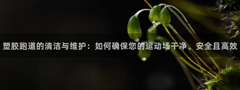 尊龙官网