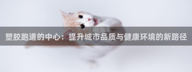 尊龙凯时