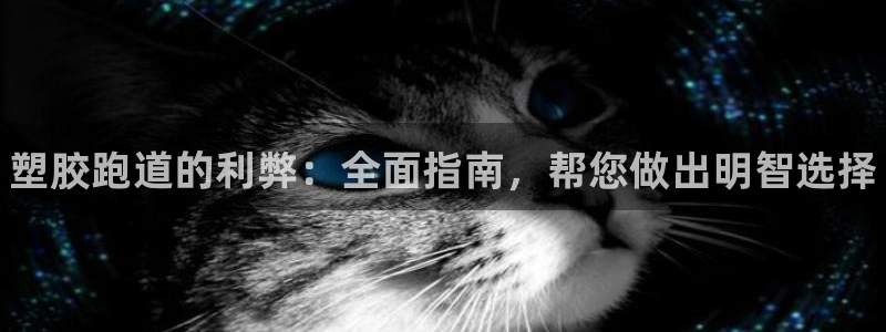 尊龙,人生就是搏：塑胶跑道的利弊：全面指南，帮您做出