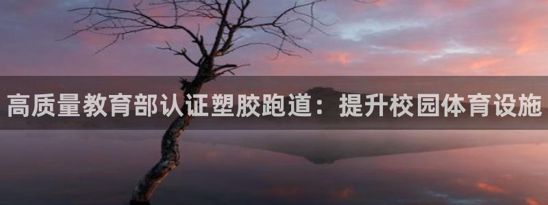 尊龙现金：高质量教育部认证塑胶跑道：提升校园体育设施
