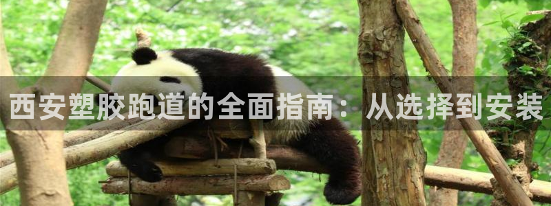尊龙凯时网站网址：西安塑胶跑道的全面指南：从选择到安