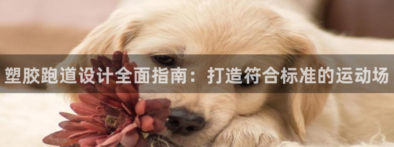 ag尊龙凯时俱乐部：塑胶跑道设计全面指南：打造符合标准的运动