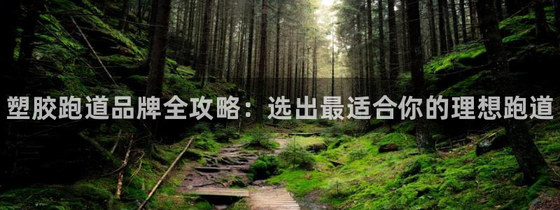 尊龙凯时投诉最狠的方法：塑胶跑道品牌全攻略：选出最适合你的理