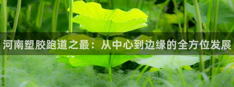 尊龙凯时 - 人生就是搏手机登录